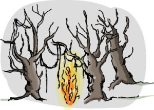 Illustration of Fire Swamp