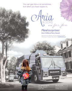 Aria Blooms for you ad series 2