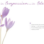 Aria Blooms brochure spread 1