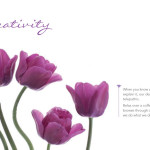 Aria Blooms brochure inside spread 2