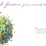 Aria Blooms brochure spread 3