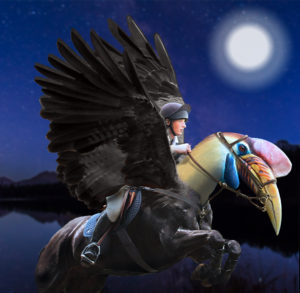 Nightflyer photoshop